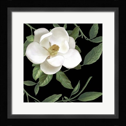 Framed Sweet Magnolias II Print