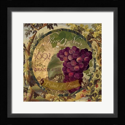 Framed Wines of France II Print