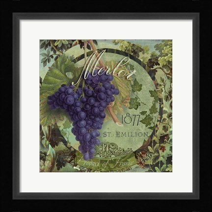 Framed Wines of France III Print