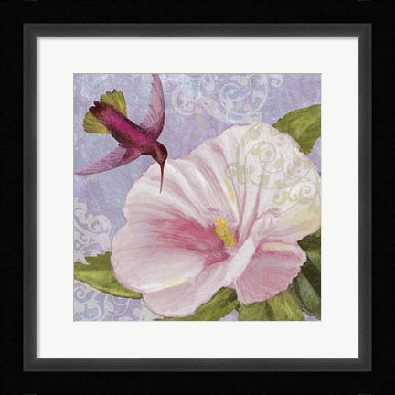 Framed Humming Hibiscus II Print