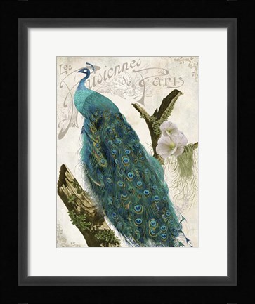 Framed Les Paons I Print