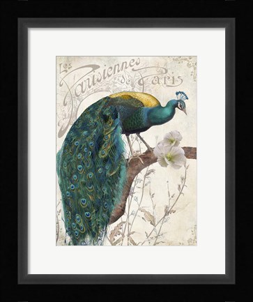 Framed Les Paons II Print