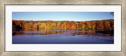 Framed Reflection of Trees and Plants in Water, Bergen County, New Jersey Print
