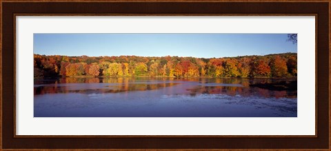 Framed Reflection of Trees and Plants in Water, Bergen County, New Jersey Print