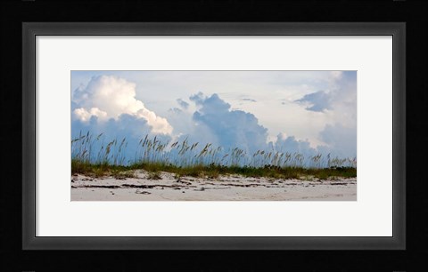 Framed Reed Grass on Beach, Great Exuma Island, Bahamas Print