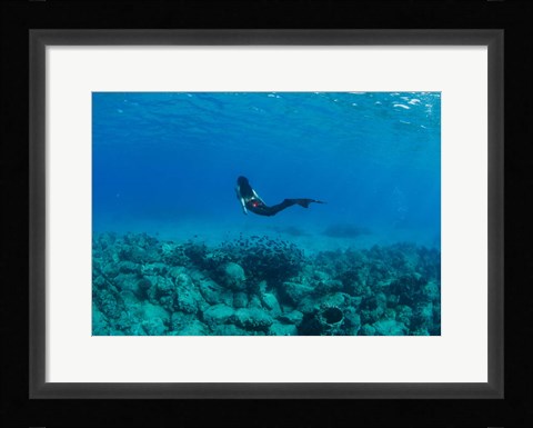 Framed View of Mermaid Swimming Undersea, Hawaii Print