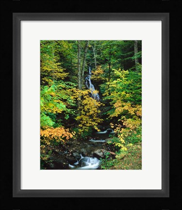 Framed Moss Glen Falls, Granville Reservation State Park, Vermont Print