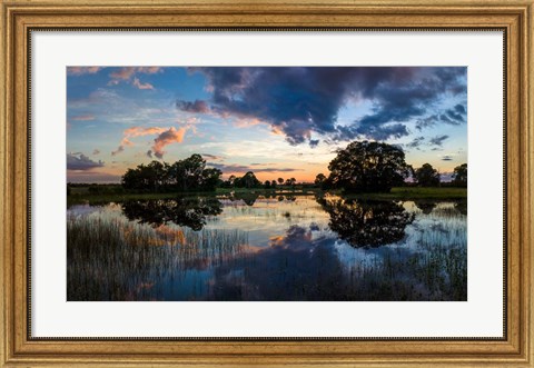 Framed Small Pond at Sunset, Venice, Florida Print
