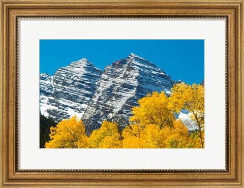 Framed Trees with Mountain Range in the Background, Maroon Creek Valley, Aspen, Colorado Print