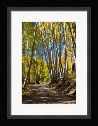 Framed Road Passing through a Forest, Maroon Creek Valley, Aspen, Colorado Print