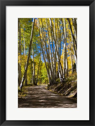 Framed Road Passing through a Forest, Maroon Creek Valley, Aspen, Colorado Print