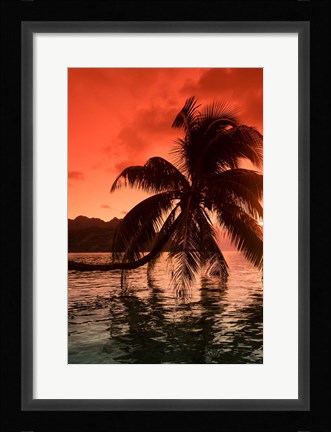 Framed Palm Trees at Sunset, Moorea, Tahiti, French Polynesia Print