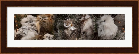 Framed Close-up of Assorted Owls Print