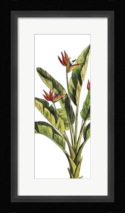 Framed Tropical Palm Paradise I Print