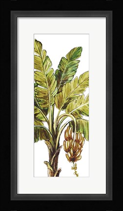 Framed Tropical Palm Paradise II Print