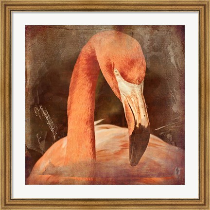 Framed Flamingo Masquerade Print