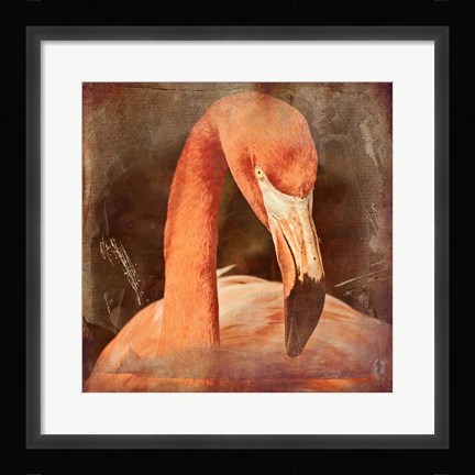 Framed Flamingo Masquerade Print
