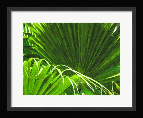 Framed Painted Ferns II Print