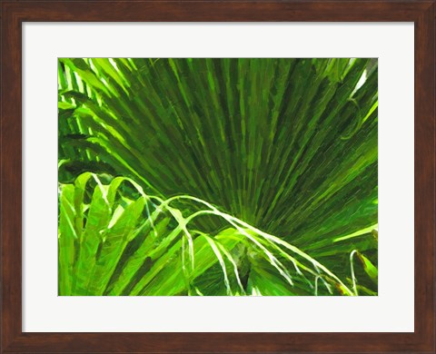 Framed Painted Ferns II Print