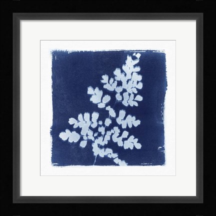 Framed Flora Cyanotype I Print