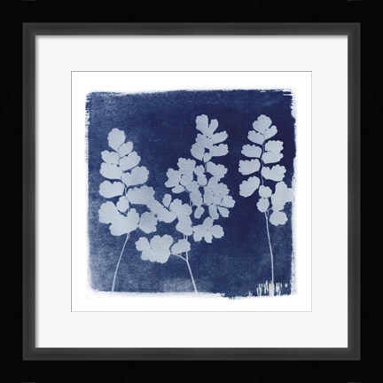 Framed Flora Cyanotype II Print