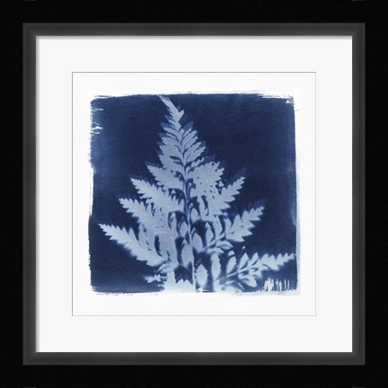 Framed Flora Cyanotype II Print