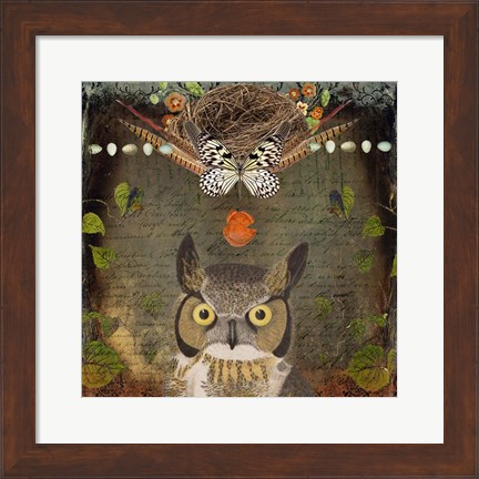Framed Deep Forest Owl Print