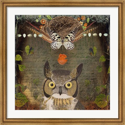 Framed Deep Forest Owl Print