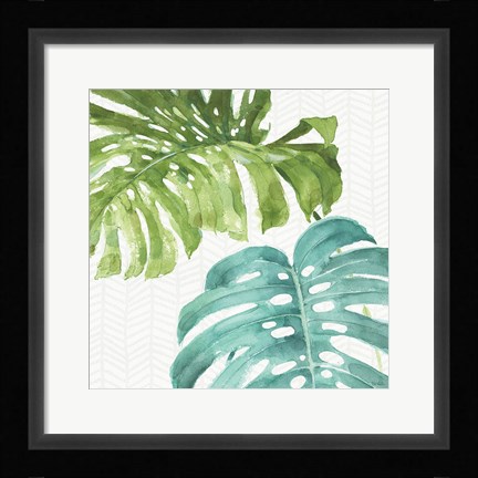 Framed Mixed Greens LXXVI Print