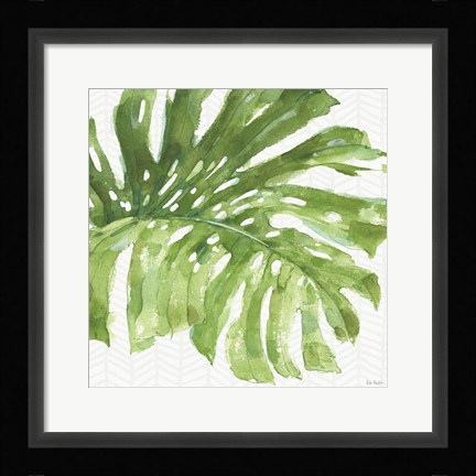 Framed Mixed Greens LXXIV Print