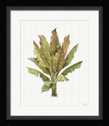 Framed Mixed Greens IX Print
