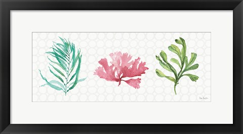 Framed Mixed Greens XXXI Print