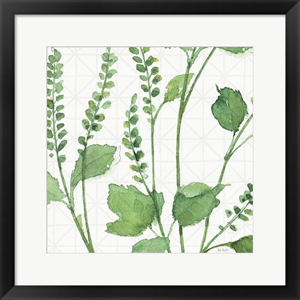 Framed Mixed Greens LIV Print