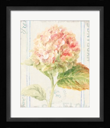 Framed Floursack Florals VI Print