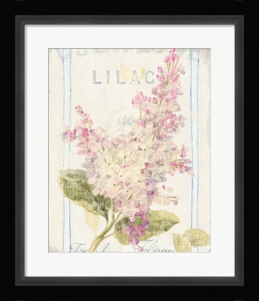 Framed Floursack Florals V Print