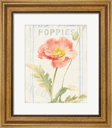 Framed Floursack Florals IV Print