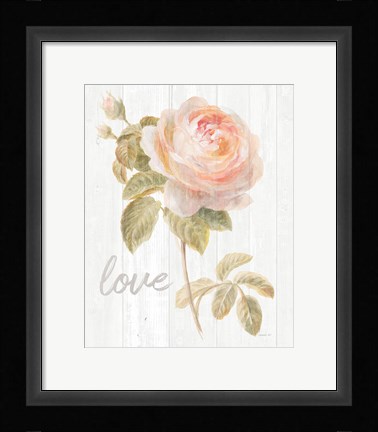 Framed Garden Rose on Wood Love Print