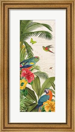 Framed Parrot Paradise VI Print