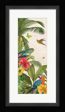 Framed Parrot Paradise VI Print