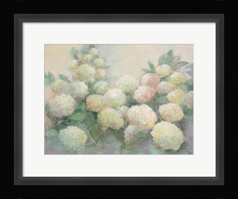 Framed Annabelle Hydrangeas Print