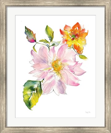 Framed Dahlia Delight of the Day II Print