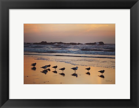 Framed Kalaloch Birds IV Print