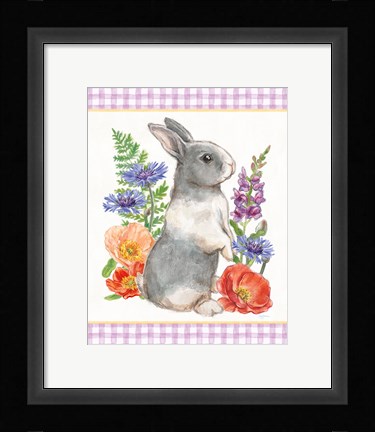 Framed Sunny Bunny IV Checker Border Print
