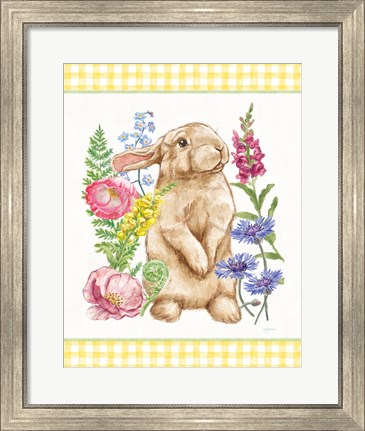 Framed Sunny Bunny III Checker Border Print