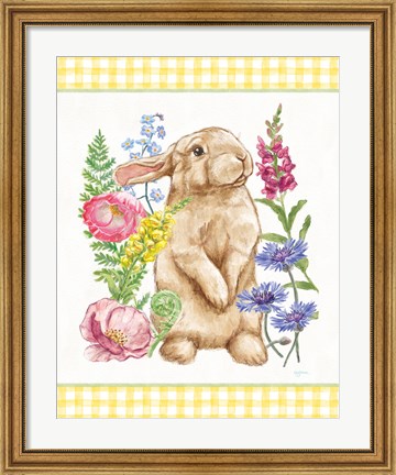 Framed Sunny Bunny III Checker Border Print