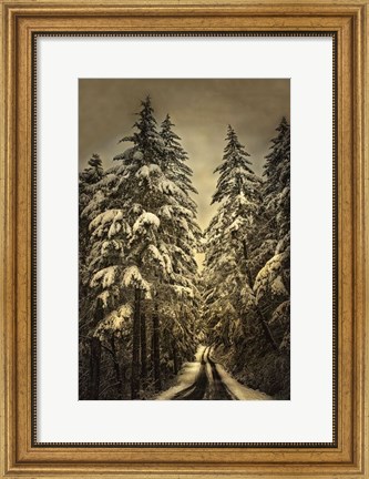 Framed Wagner Creek Snow Print