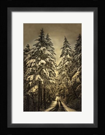 Framed Wagner Creek Snow Print