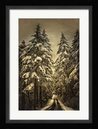Framed Wagner Creek Snow Print