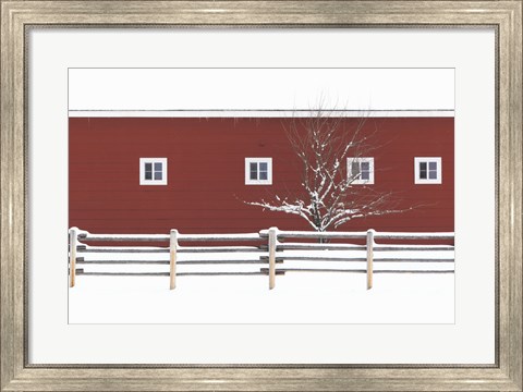 Framed Red Bitterroot Barn Print