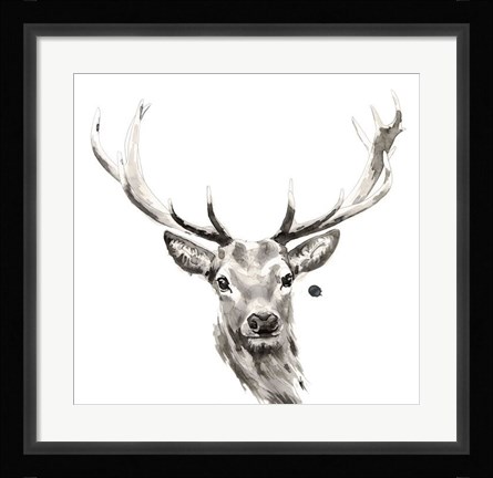 Framed Elk Print